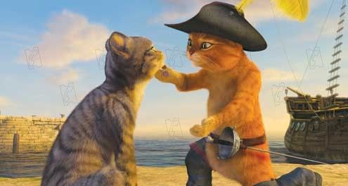 Shrek Tercero : Foto Chris Miller (I)