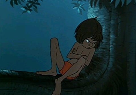 El libro de la selva : Foto