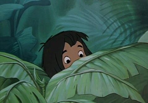 El libro de la selva : Foto