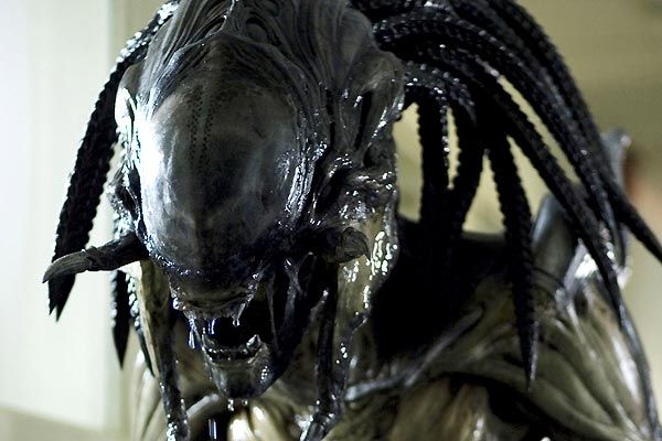 Aliens vs. Depredador 2 : Foto