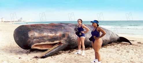 Reno 911 : Miami : Foto Kerri Kenney-Silver, Niecy Nash