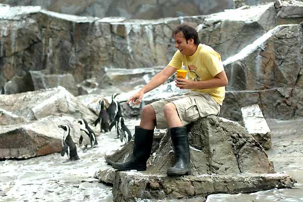 Novio por una noche : Foto