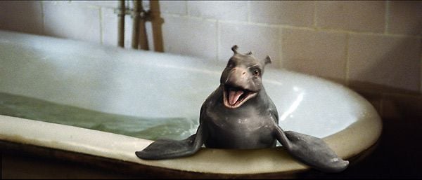 Mi mascota es un monstruo : Foto