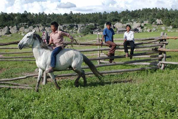 Cochochi : Foto Laura Amelia Guzmán, Israel Cárdenas