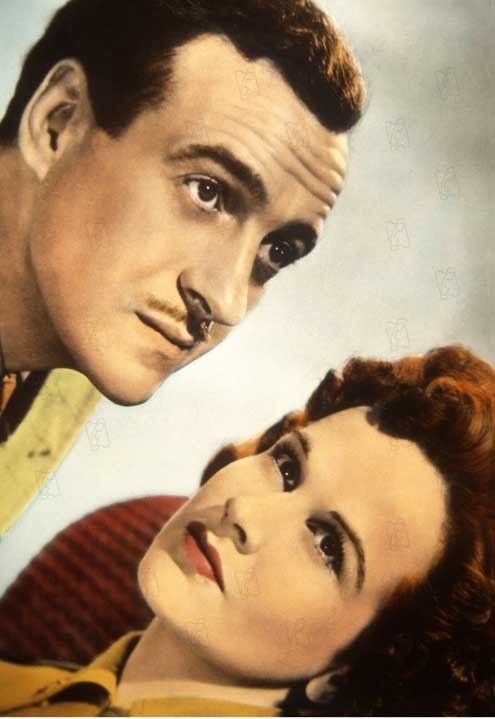 Escalera al cielo : Foto