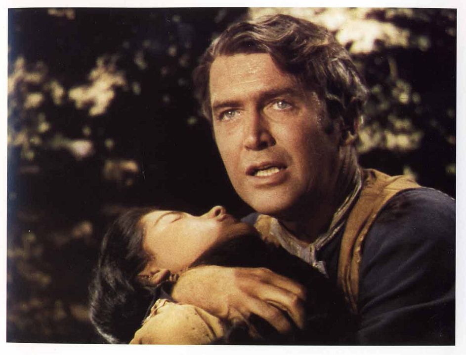 Flecha rota : Foto Delmer Daves