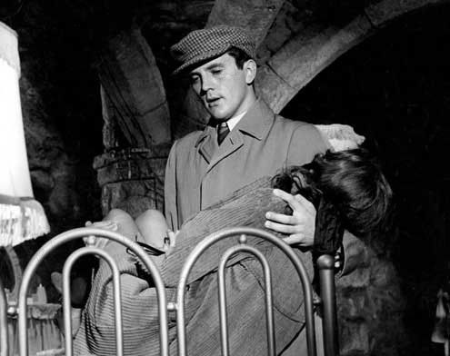 Foto William Wyler, Terence Stamp