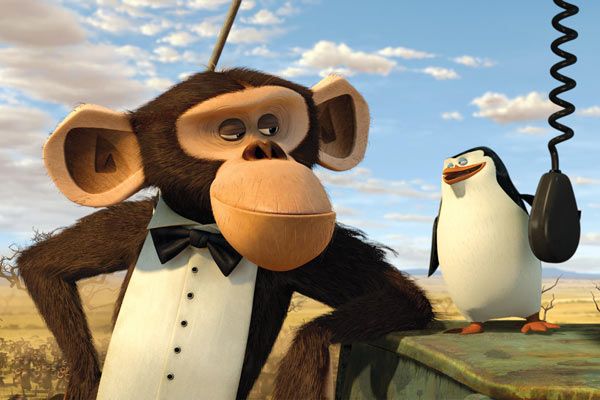Madagascar 2 : Foto