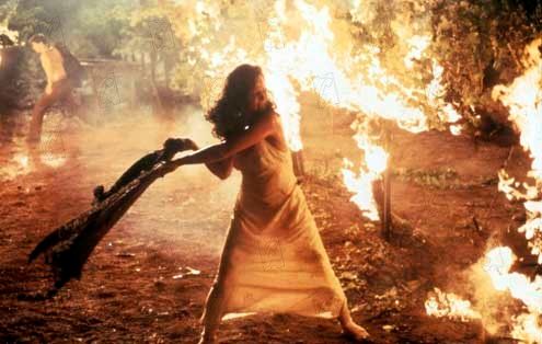 Un paseo por las nubes : Foto Alfonso Arau