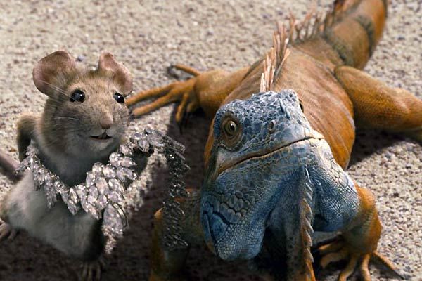 Un chihuahua de Beverly Hills : Foto Raja Gosnell