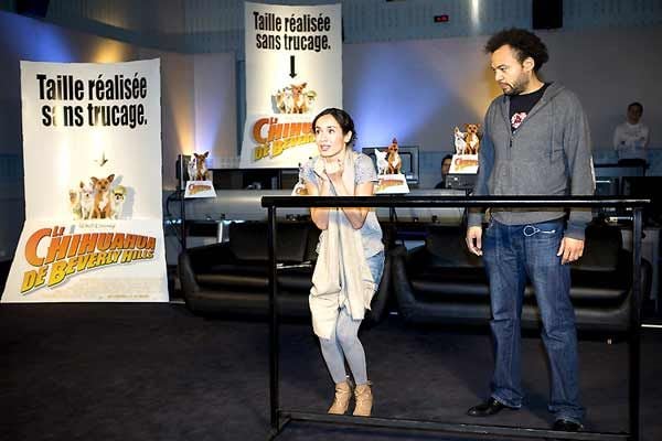 Un chihuahua de Beverly Hills : Foto Raja Gosnell