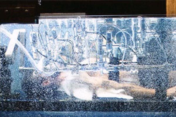 X-Men orígenes: Wolverine : Foto Hugh Jackman