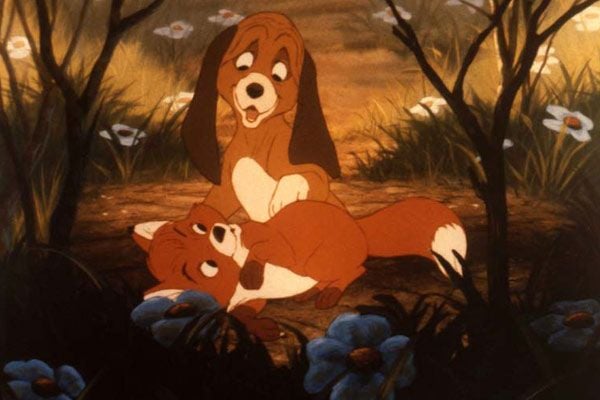 El zorro y el sabueso : Foto