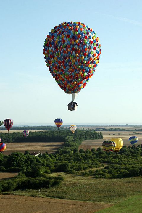 Up, una aventura de altura : Foto Bob Peterson
