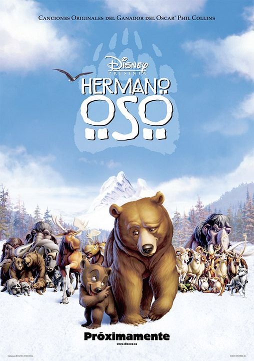 Tierra de osos : Póster