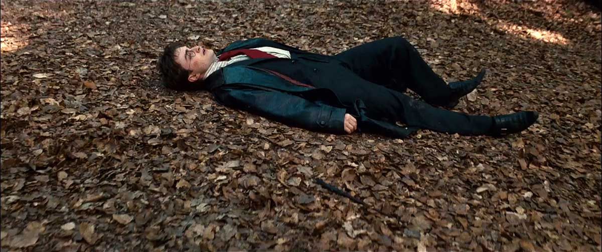 Harry Potter y las reliquias de la Muerte - Parte 1 : Foto Daniel Radcliffe
