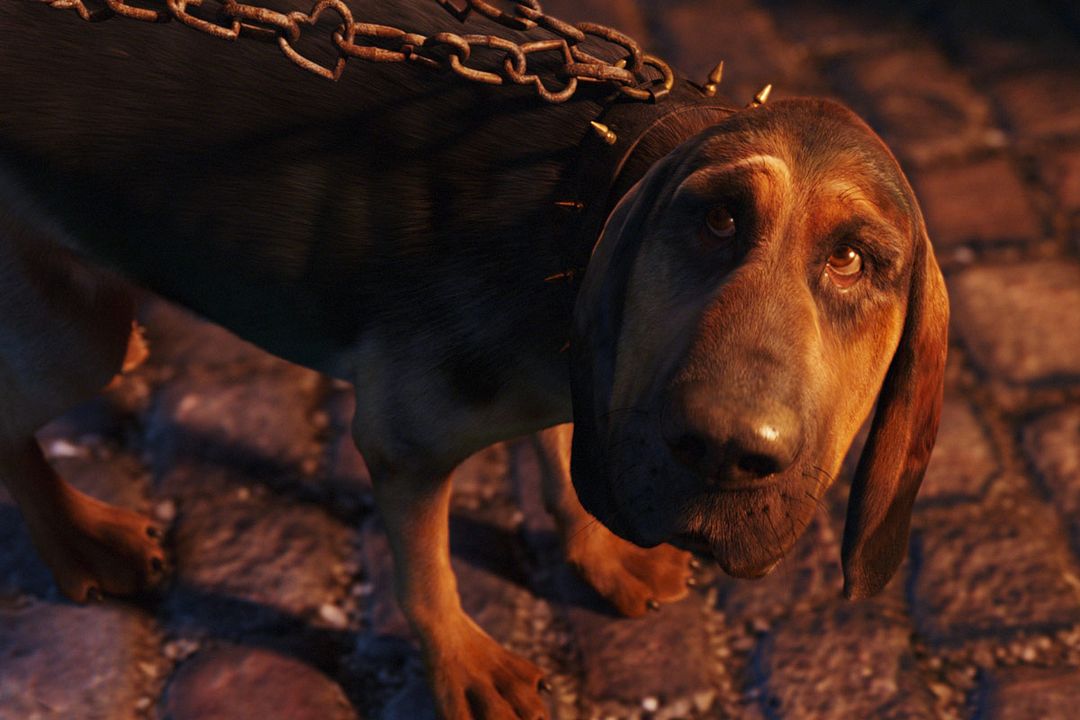 Alicia en el País de las Maravillas : Foto