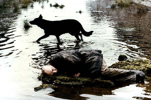 Stalker: La zona : Foto