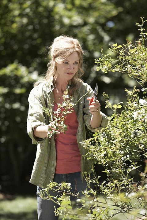 Siempre a tu lado : Foto