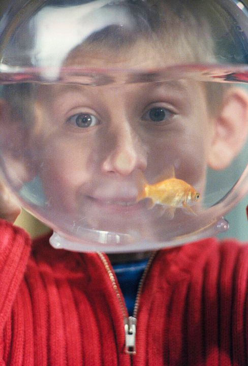 Malcolm el de en medio : Foto Erik Per Sullivan