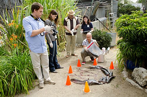 Dexter : Foto Michael C. Hall, Jennifer Carpenter