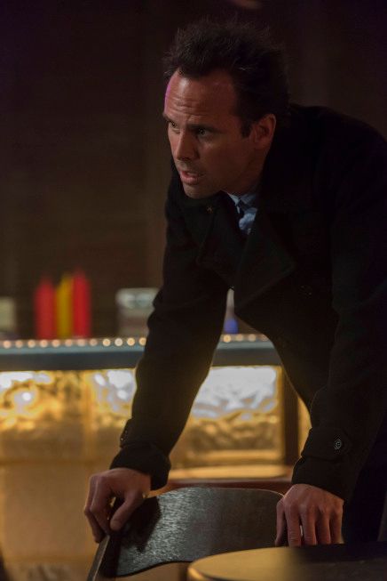 Justified: La ley de Raylan : Foto Walton Goggins