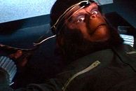 La conquista del planeta de los simios : Foto