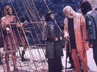 El planeta de los simios : Foto