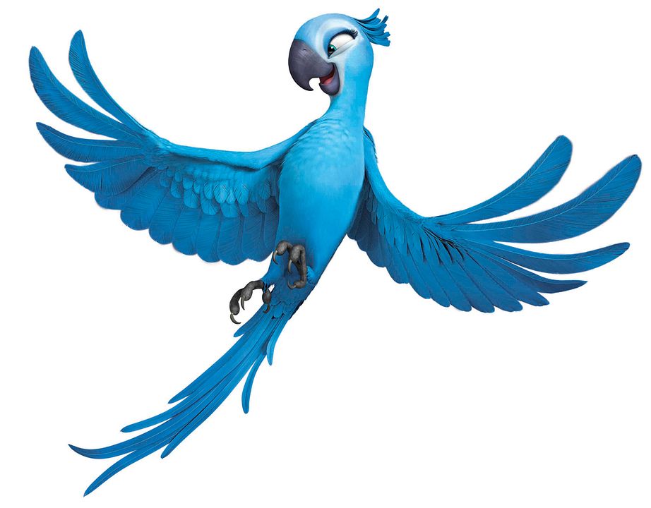 Rio : Foto David Kross