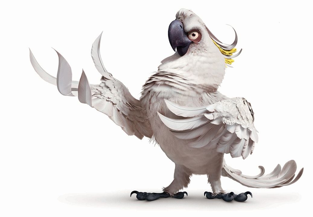 Rio : Foto David Kross