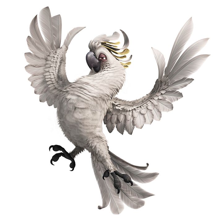 Rio : Foto David Kross