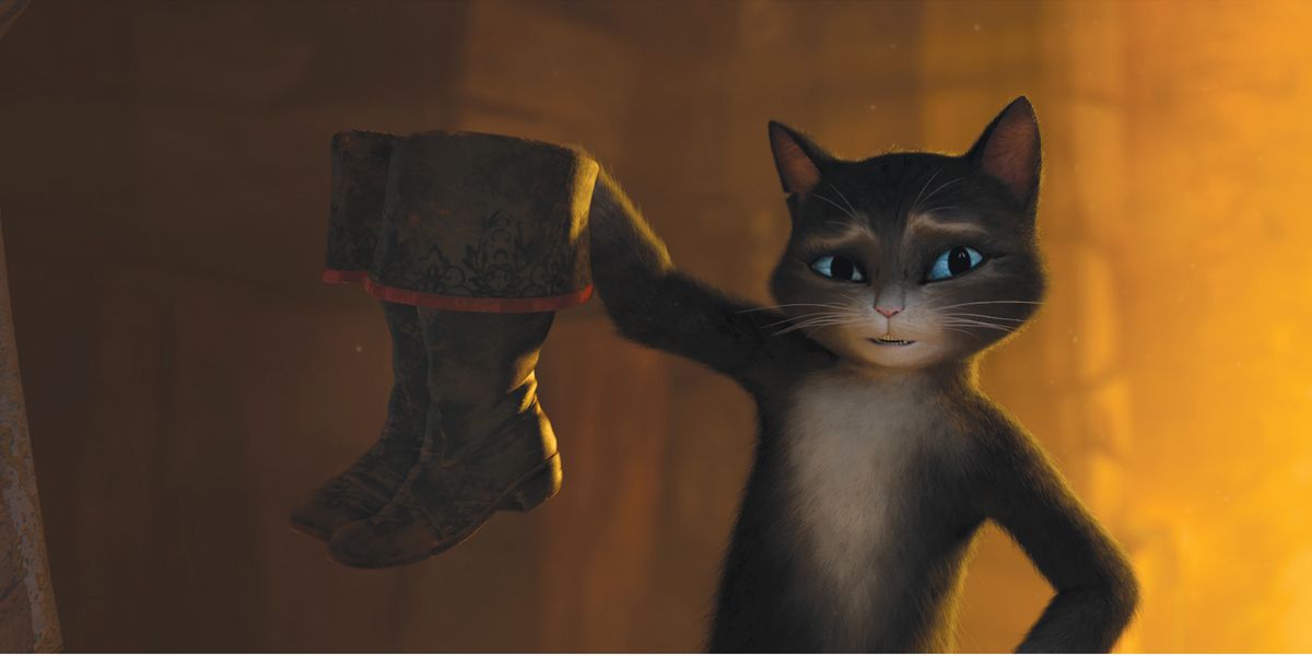 Gato con botas : Foto