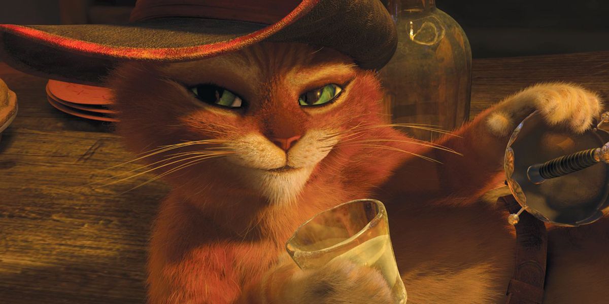 Gato con botas : Foto