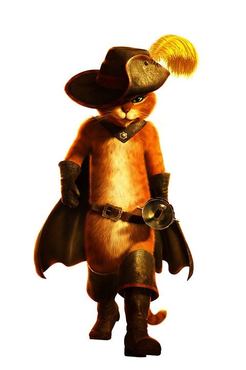 Gato con botas : Foto