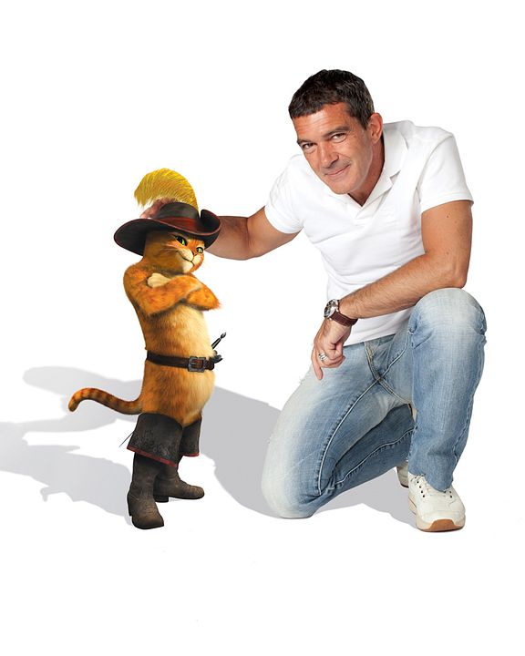 Gato con botas : Foto