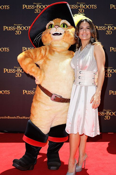 Gato con botas : Foto