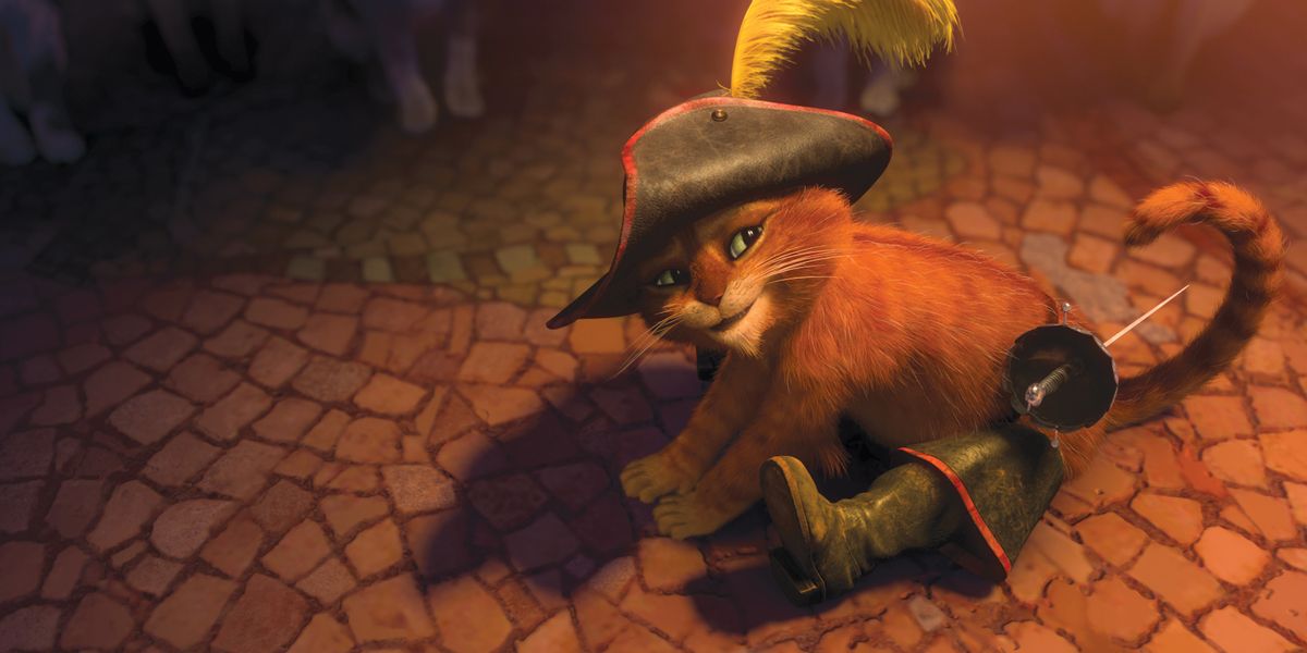 Gato con botas : Foto