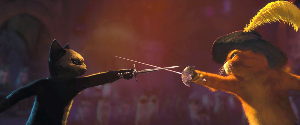 Gato con botas : Foto