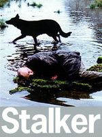 Stalker: La zona : Póster