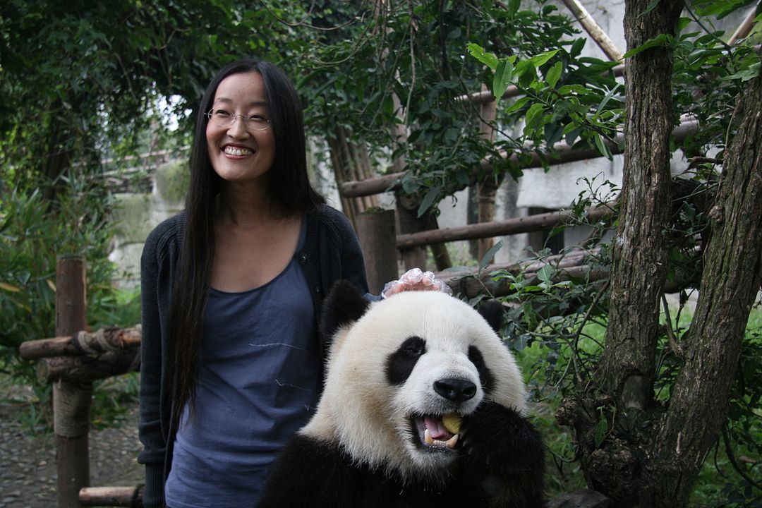 Kung Fu Panda 2 : Foto