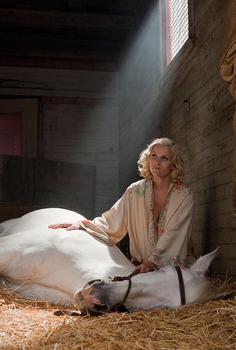 Agua para elefantes : Foto