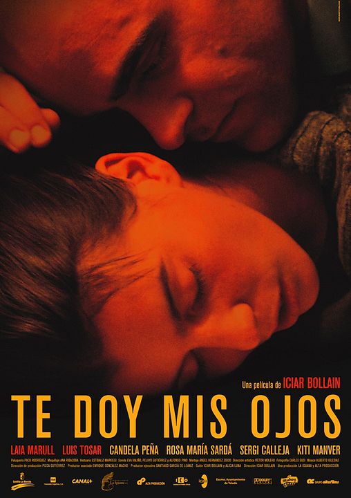 Te doy mis ojos : Póster