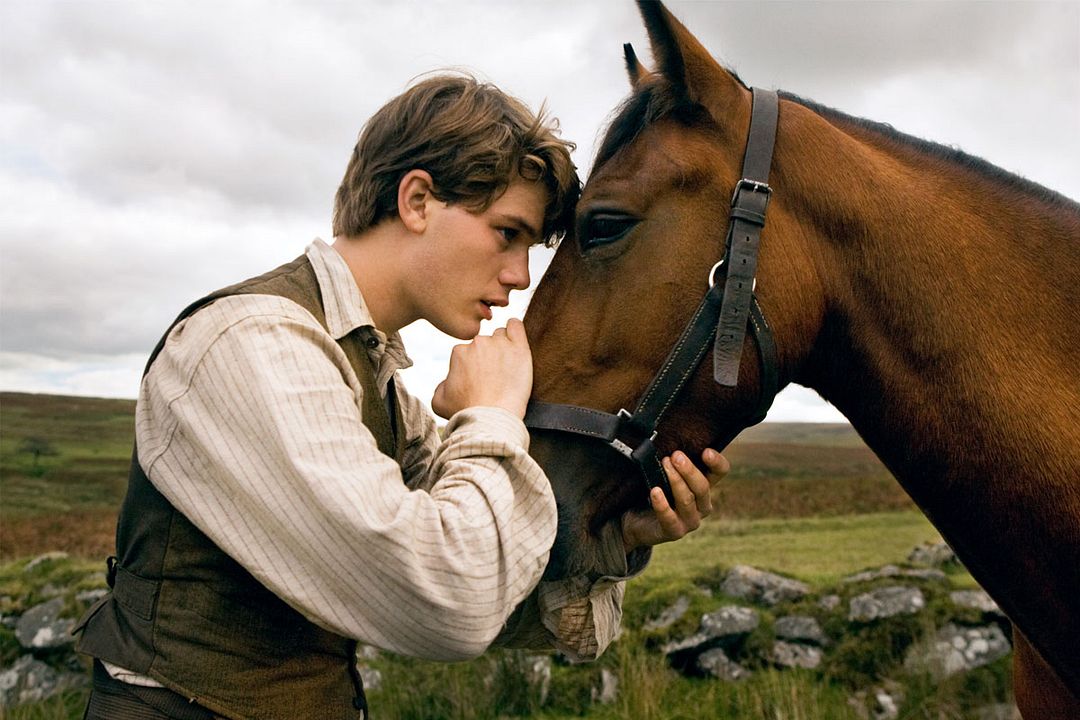 Caballo de guerra : Foto Jeremy Irvine