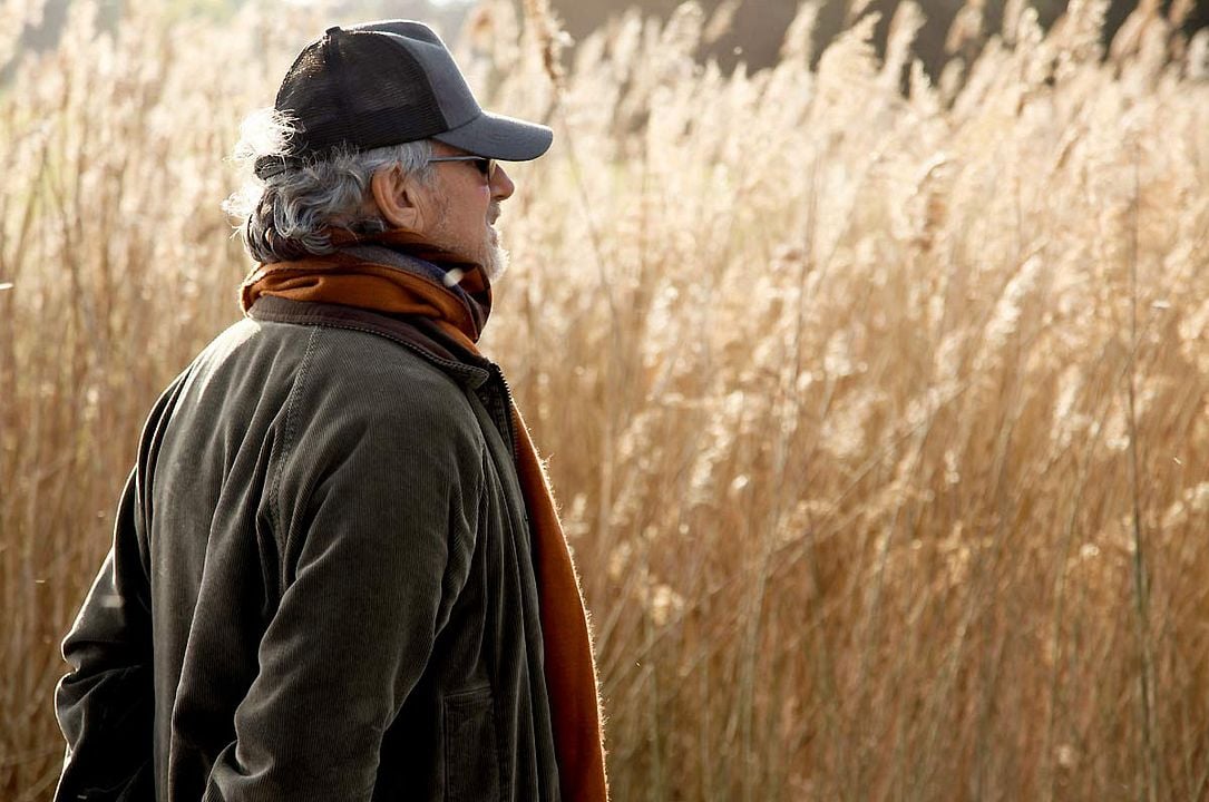 Caballo de guerra : Foto Steven Spielberg