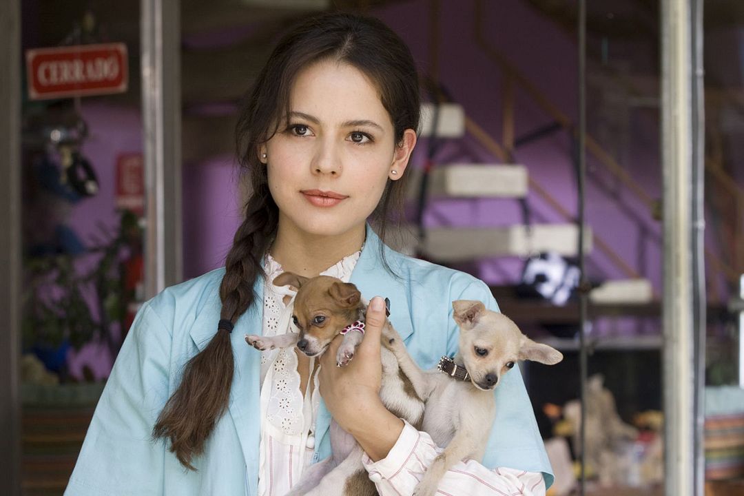 No eres tú, soy yo : Foto