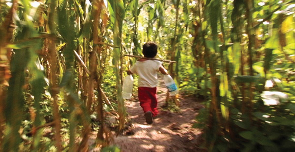 Los herederos : Foto