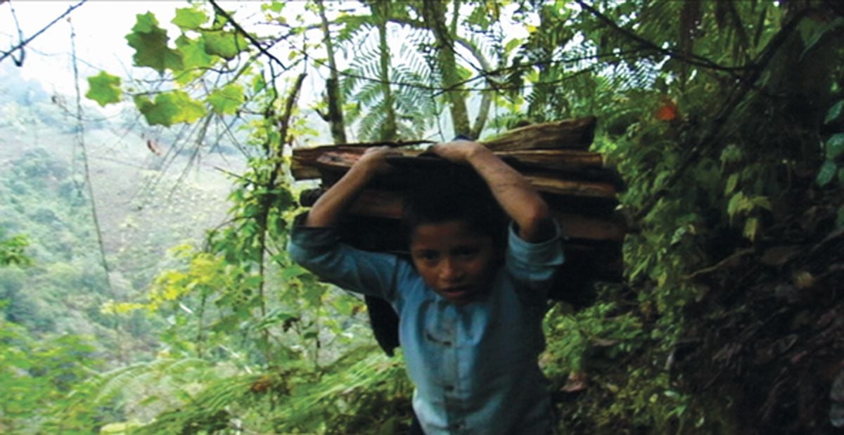 Los herederos : Foto