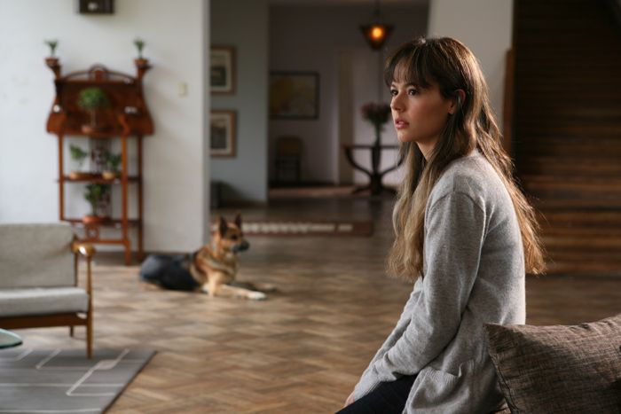 La cara oculta : Foto