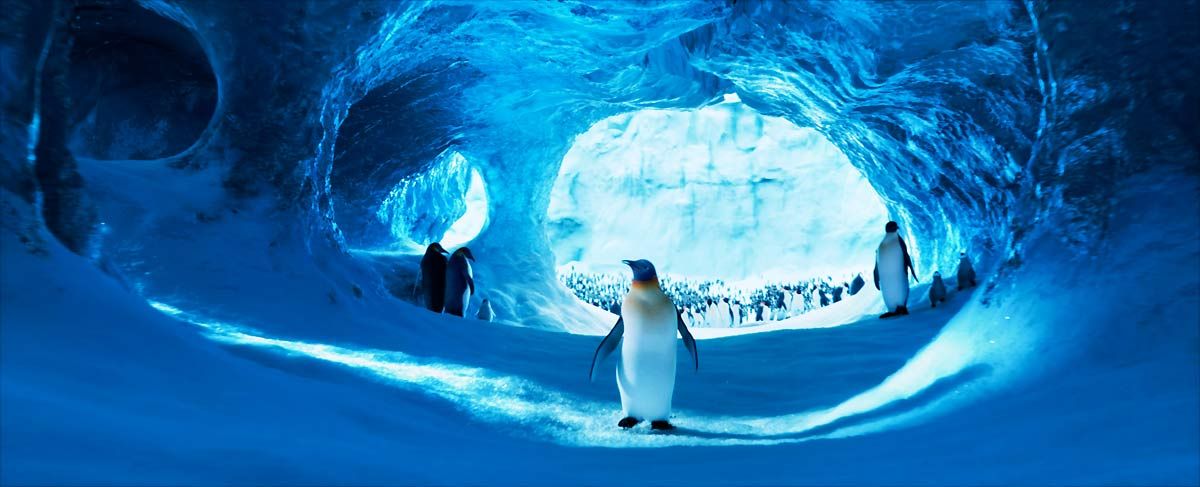 Happy Feet 2: El pingüino : Foto