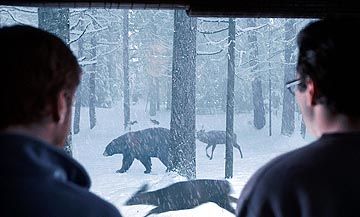 El cazador de sueños : Foto